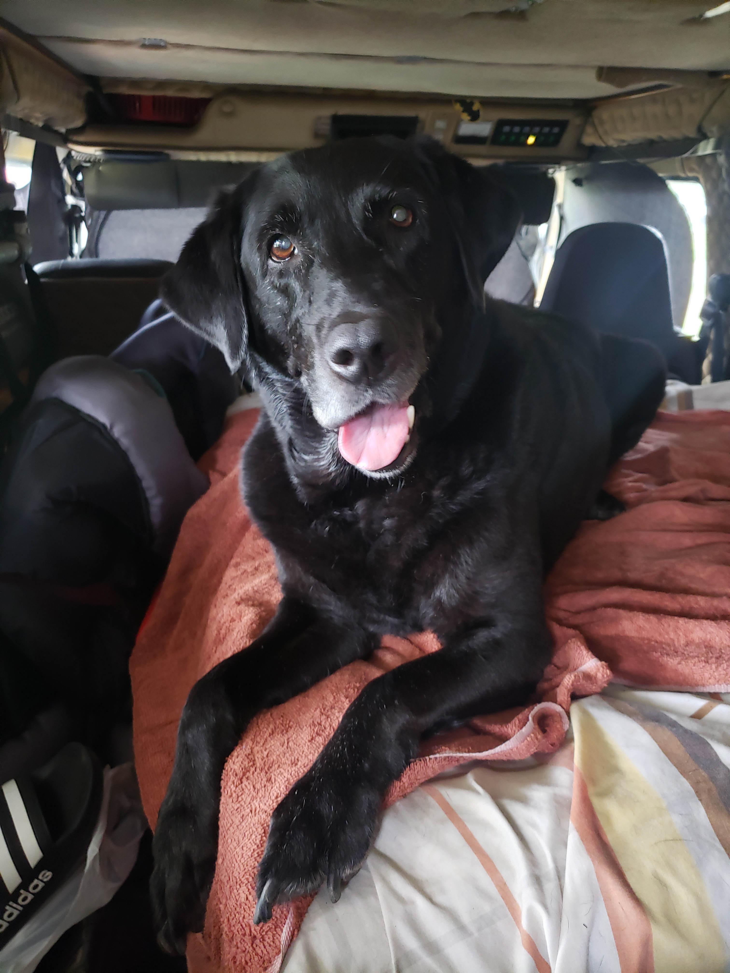 Kloey profile picture